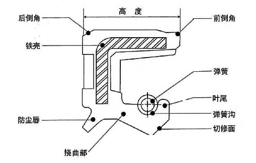 旋转油封(骨架油封)结构图