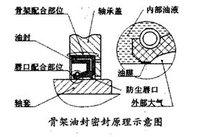 骨架油封密封原理示意图