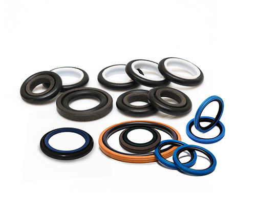 Glyd Ring/Step Seal